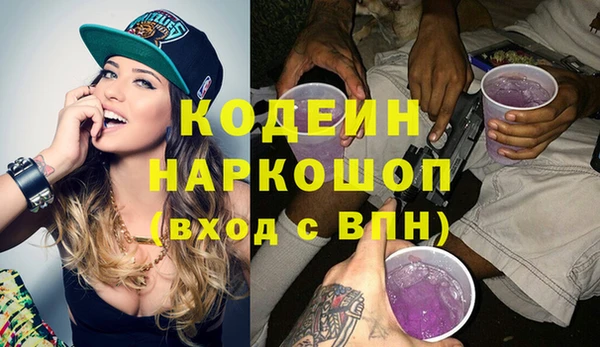 прущие грибы Алзамай