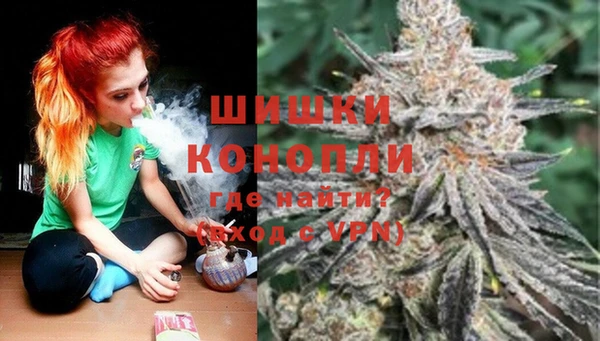 прущие грибы Алзамай