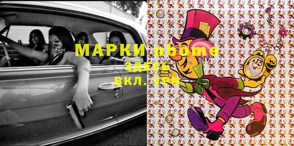 прущие грибы Алзамай