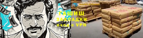 прущие грибы Алзамай